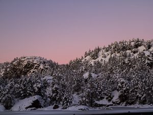 Preview wallpaper hill, snow, trees, winter, dusk, landscape