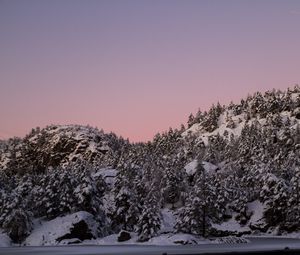 Preview wallpaper hill, snow, trees, winter, dusk, landscape