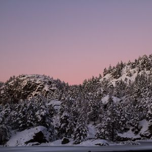 Preview wallpaper hill, snow, trees, winter, dusk, landscape