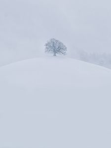 Preview wallpaper hill, tree, snow, winter, white