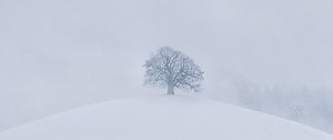 Preview wallpaper hill, tree, snow, winter, white