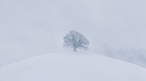 Preview wallpaper hill, tree, snow, winter, white