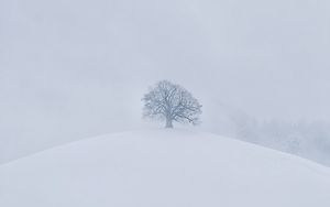 Preview wallpaper hill, tree, snow, winter, white