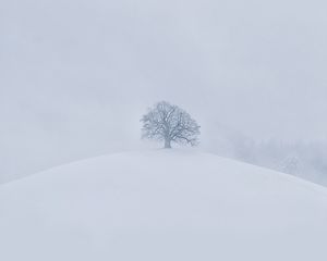 Preview wallpaper hill, tree, snow, winter, white