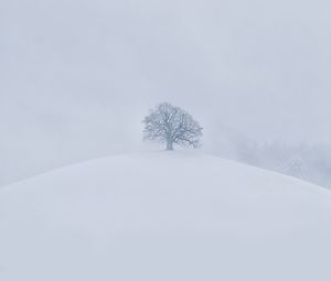 Preview wallpaper hill, tree, snow, winter, white