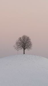 Preview wallpaper hill, tree, snow, winter, dusk