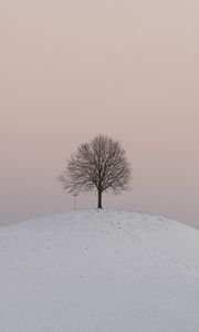 Preview wallpaper hill, tree, snow, winter, dusk
