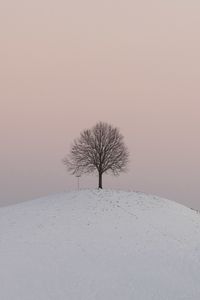 Preview wallpaper hill, tree, snow, winter, dusk