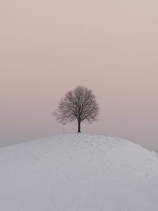 Preview wallpaper hill, tree, snow, winter, dusk