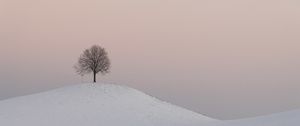 Preview wallpaper hill, tree, snow, winter, dusk