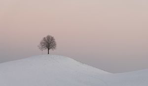 Preview wallpaper hill, tree, snow, winter, dusk