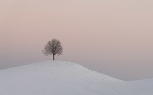 Preview wallpaper hill, tree, snow, winter, dusk