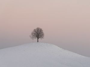 Preview wallpaper hill, tree, snow, winter, dusk