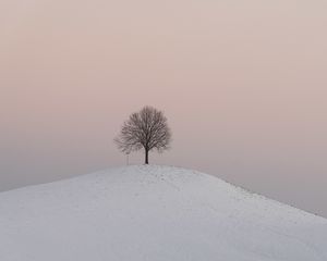 Preview wallpaper hill, tree, snow, winter, dusk