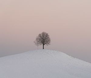 Preview wallpaper hill, tree, snow, winter, dusk