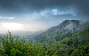 Preview wallpaper hill, trees, bushes, fog, sky