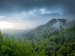 Preview wallpaper hill, trees, bushes, fog, sky