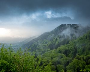 Preview wallpaper hill, trees, bushes, fog, sky