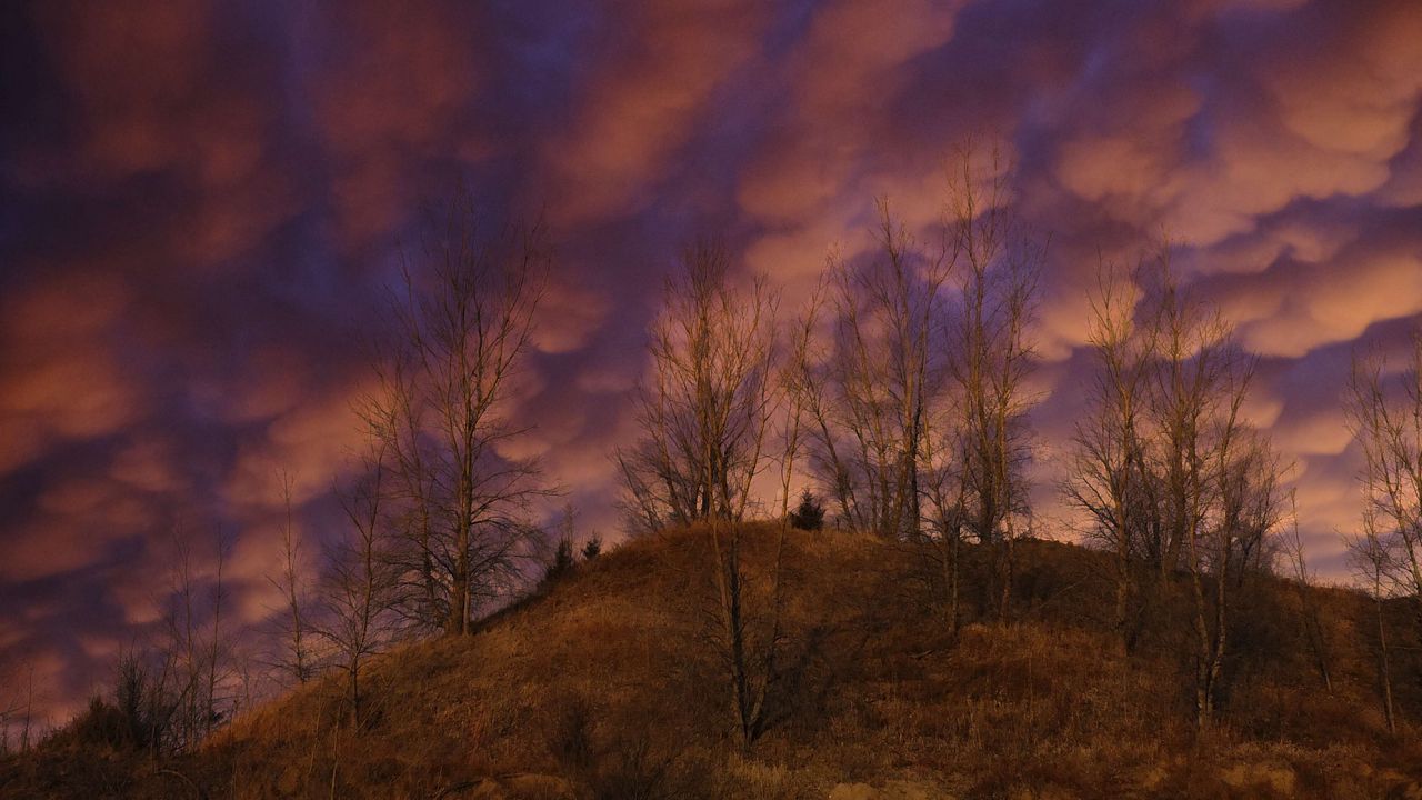 Wallpaper hill, trees, clouds, sky, sunset, landscape