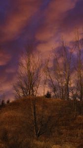 Preview wallpaper hill, trees, clouds, sky, sunset, landscape