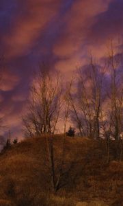 Preview wallpaper hill, trees, clouds, sky, sunset, landscape