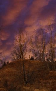 Preview wallpaper hill, trees, clouds, sky, sunset, landscape
