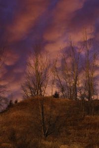 Preview wallpaper hill, trees, clouds, sky, sunset, landscape