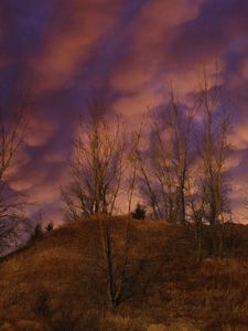 Preview wallpaper hill, trees, clouds, sky, sunset, landscape