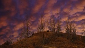Preview wallpaper hill, trees, clouds, sky, sunset, landscape