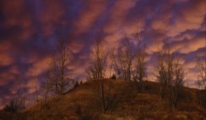 Preview wallpaper hill, trees, clouds, sky, sunset, landscape