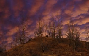 Preview wallpaper hill, trees, clouds, sky, sunset, landscape