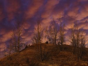 Preview wallpaper hill, trees, clouds, sky, sunset, landscape