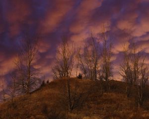 Preview wallpaper hill, trees, clouds, sky, sunset, landscape