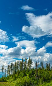 Preview wallpaper hill, trees, clouds, nature