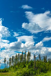 Preview wallpaper hill, trees, clouds, nature