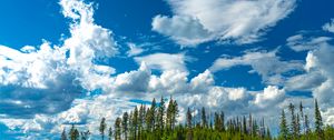 Preview wallpaper hill, trees, clouds, nature