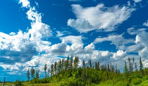 Preview wallpaper hill, trees, clouds, nature