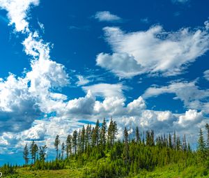 Preview wallpaper hill, trees, clouds, nature