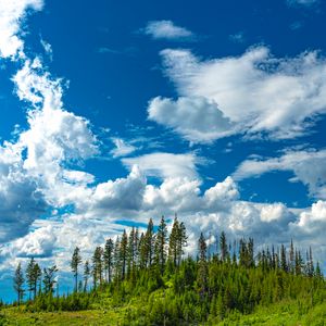 Preview wallpaper hill, trees, clouds, nature