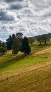 Preview wallpaper hill, trees, field, nature, landscape