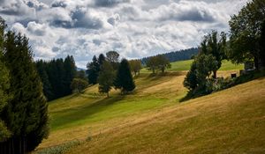 Preview wallpaper hill, trees, field, nature, landscape