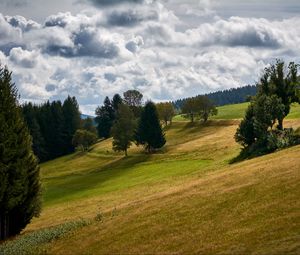 Preview wallpaper hill, trees, field, nature, landscape