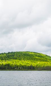 Preview wallpaper hill, trees, forest, river, sky, clouds