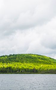 Preview wallpaper hill, trees, forest, river, sky, clouds