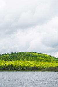 Preview wallpaper hill, trees, forest, river, sky, clouds