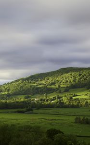 Preview wallpaper hill, trees, forest, meadow, grass