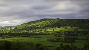 Preview wallpaper hill, trees, forest, meadow, grass