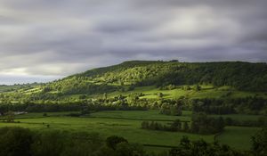 Preview wallpaper hill, trees, forest, meadow, grass