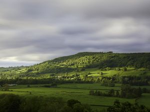 Preview wallpaper hill, trees, forest, meadow, grass