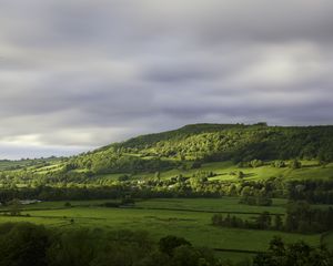 Preview wallpaper hill, trees, forest, meadow, grass